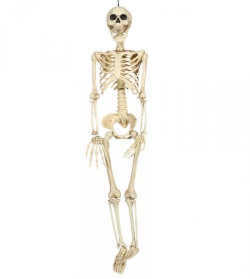 Guirca Dekorácia Kostra 90 cm