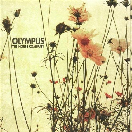 CD HORSE COMPANY - OLYMPUS