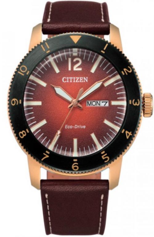 Citizen Eco-Drive AW0079-13X