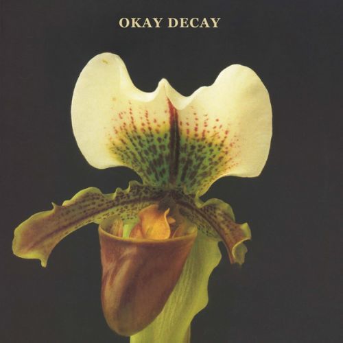 CD CANSHAKER PI - OKAY DECAY