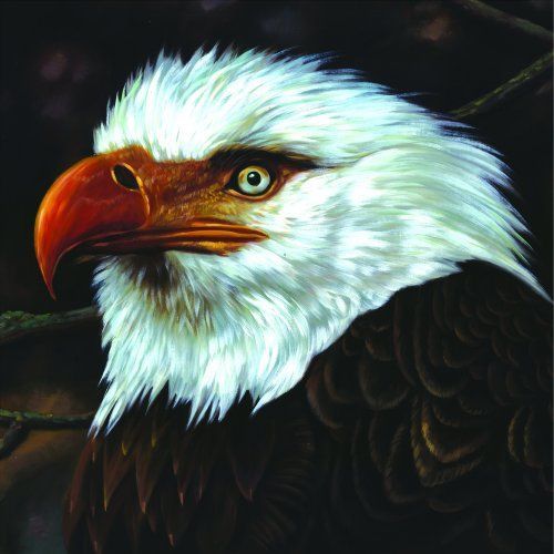 CD MOGWAI - HAWK IS HOWLING