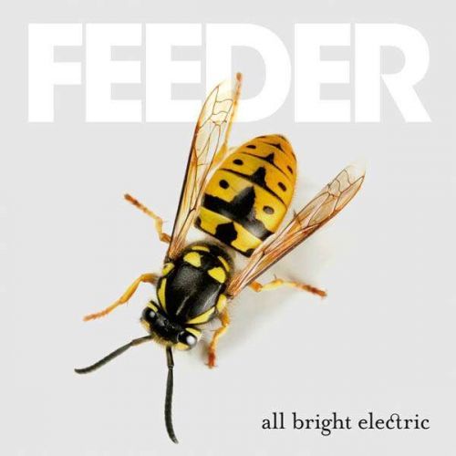 CD FEEDER - ALL BRIGHT ELECTRIC