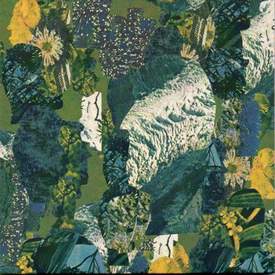 CD HORSE COMPANY - CALYPSO