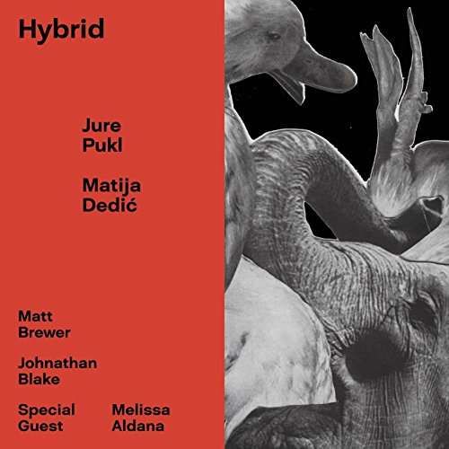 CD PUKL, JURE & MATIJA DEDIC - HYBRID