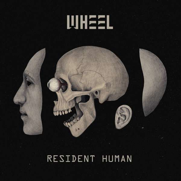 Vinyl WHEEL - RESIDENT HUMAN