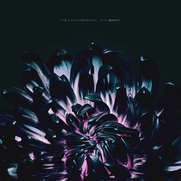 CD CONTORTIONIST - OUR BONES