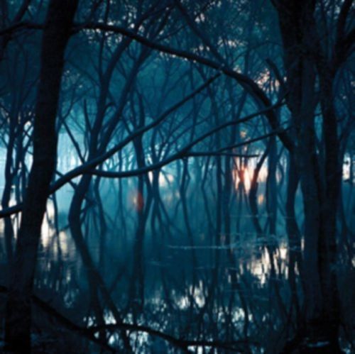 Kiasma (Oneirogen) (Vinyl / 12