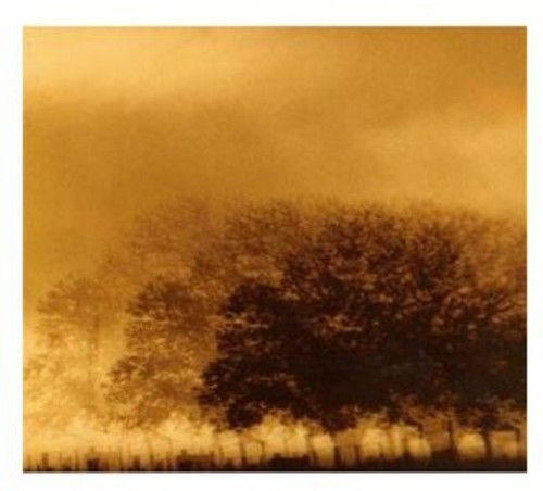 Infinite Light (Infinite Light) (CD)