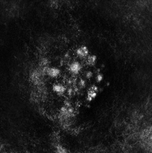 Synecdoche (SaffronKeira) (CD / Album Digipak)