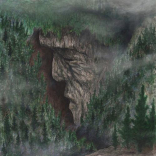 Jr (Petrels) (Vinyl / 12