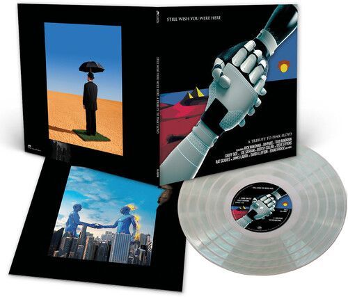 Pink Floyd Tribute: Still Wish You Were Here / Various (Various Artists) (Vinyl)