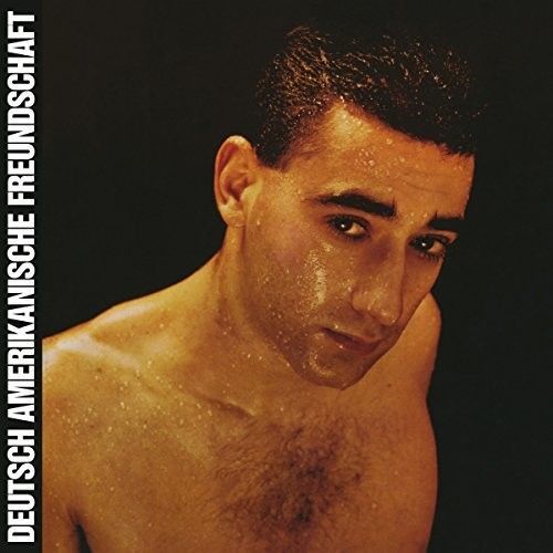 Alles Ist Gut (Daf) (Vinyl)