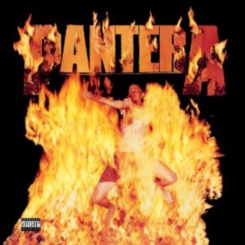 Reinventing the Steel (Pantera) (Vinyl / 12
