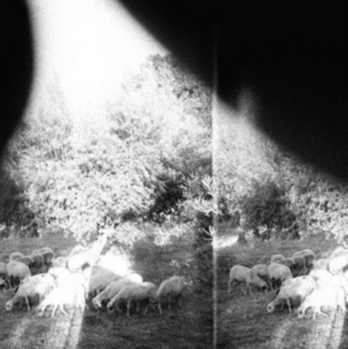 Asunder, Sweet and Other Distress (Godspeed You! Black Emperor) (CD / Album)