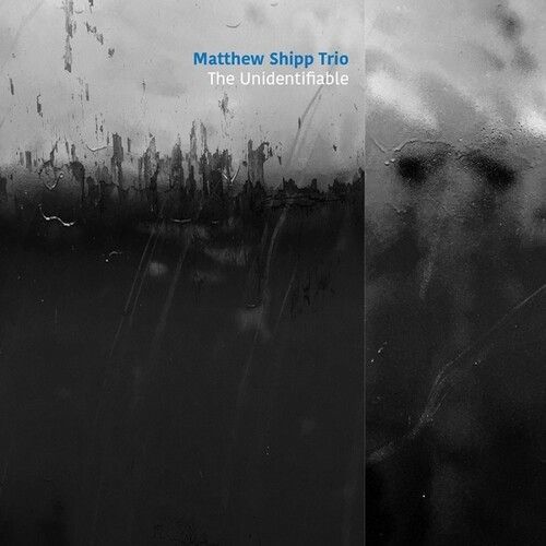 The Unidentifiable (Matthew Shipp) (CD)