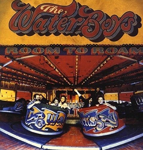 Room to Roam (The Waterboys) (Vinyl / 12