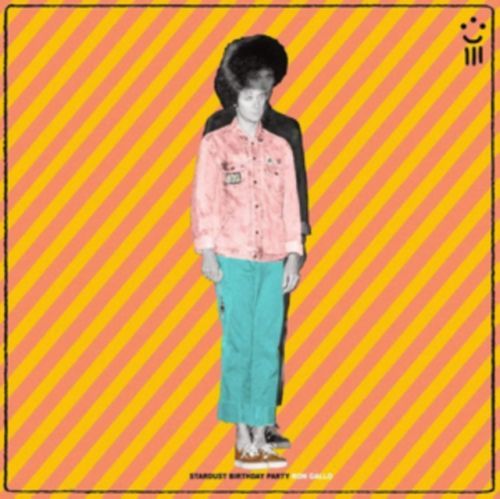 Stardust Birthday Party (Ron Gallo) (Vinyl / 12