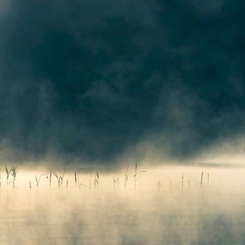 Convivium (Oneirogen) (CD / Album Digipak)