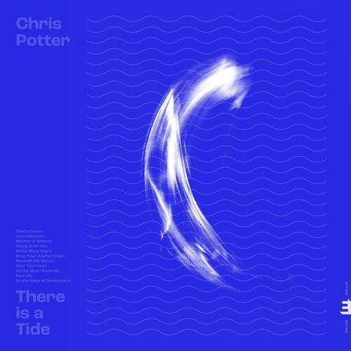 There Is A Tide (Chris Potter) (Vinyl)