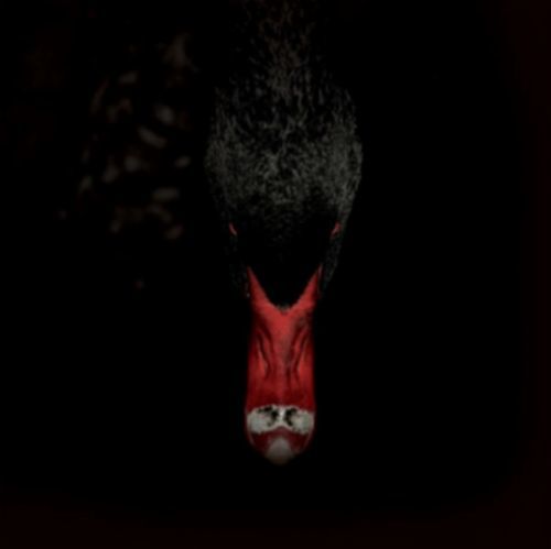 Mnnerfreundschaften Und Metaphysik (Sankt Otten + N) (Vinyl / 12