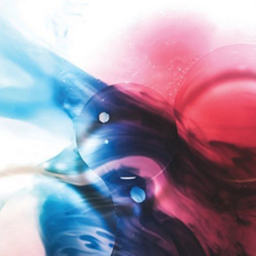 The Unified Field Reconstructed (Piano Interrupted) (Vinyl / 12