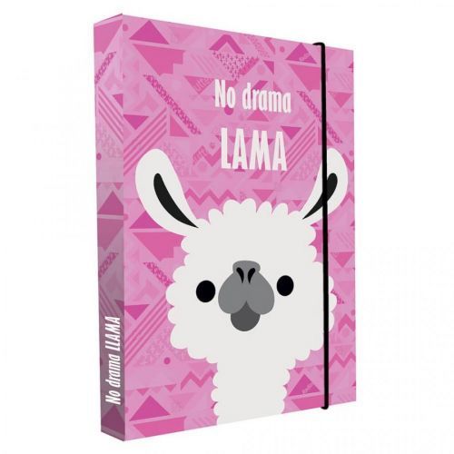 Box na zošity A4 Jumbo Lama