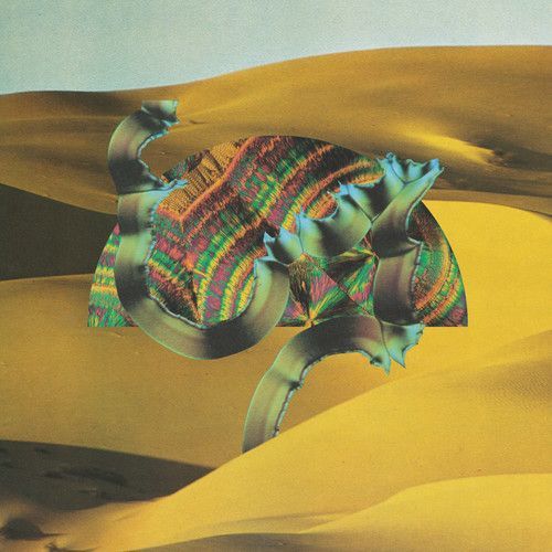 Django Django (Django Django) (Vinyl)