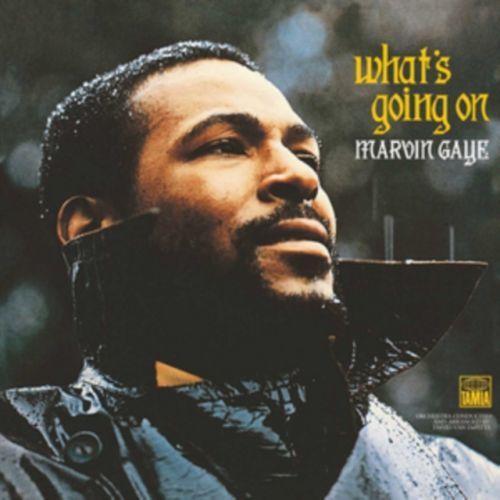 What's Going On (Marvin Gaye) (Vinyl / 12