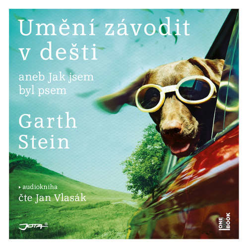 Umění závodit v dešti - Garth Stein (mp3 audiokniha)