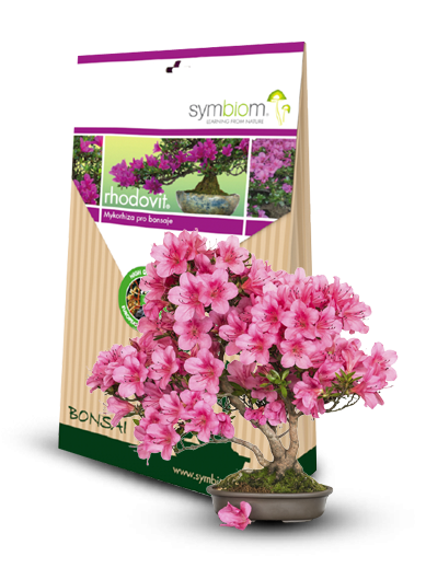 Symbiom Rhodovit Bonsai 100g