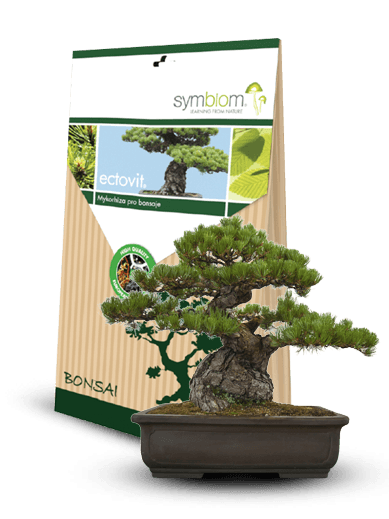 Symbiom Ectovit Bonsai 100g
