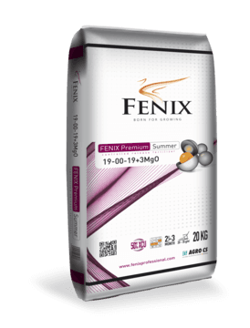 AGRO FENIX Premium Summer 19-00-19+3MgO 20 kg