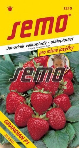 Jahodník GRANDIAN F1