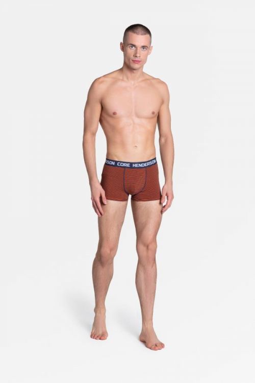 Pánske boxerky Henderson Core 38837 Loyd A'2 viacfarebný M