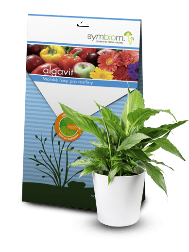 Symbiom Algavit 100g