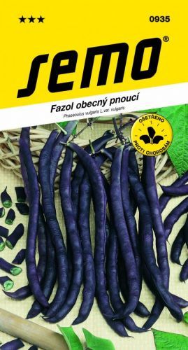 SEMO Fazuľa záhradná A COSSA VIOLETTE SANS FIL