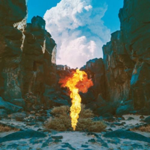 Migration (Bonobo) (Vinyl / 12