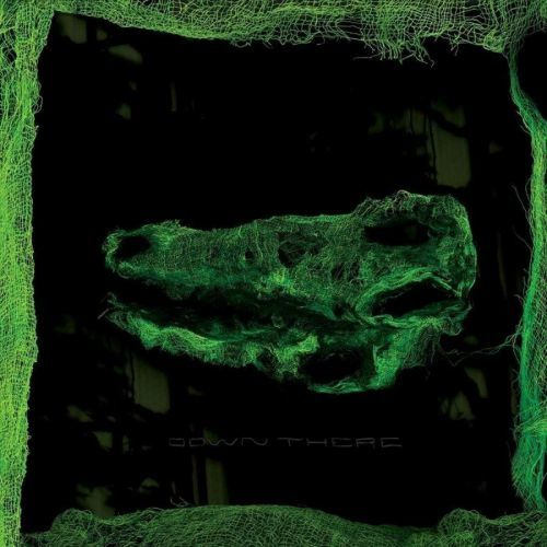 Down There (Avey Tare) (Vinyl / 12