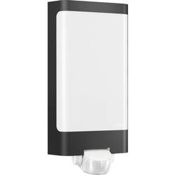 LED vonkajšie nástenné osvetlenie s PIR senzorom 7.5 W N/A Steinel L 240 056506 antracitová