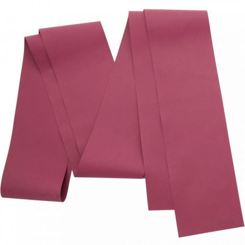 ELASTICKÝ POPRUH 100 S MIERNYM ODPOROM 3 KG BORDOVÝ