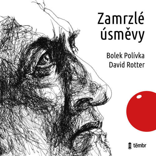 Zamrzlé úsměvy - David Rotter (mp3 audiokniha)