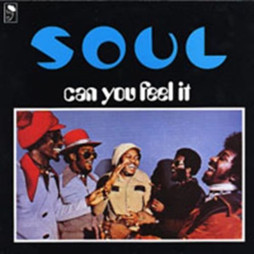 Can You Feel It (S.O.U.L.) (Vinyl / 12