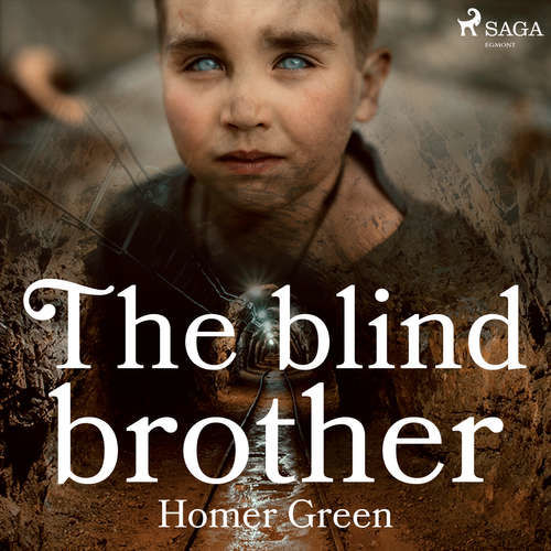 The Blind Brother (EN) - Homer Green (mp3 audiokniha)