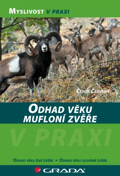 Odhad věku mufloní zvěře, Červený Čeněk