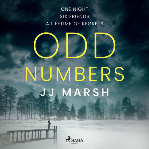 Odd Numbers (EN) - JJ Marsh (mp3 audiokniha)
