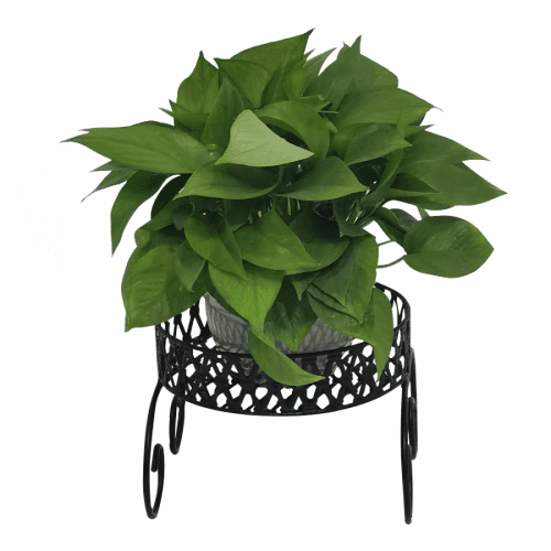 Stojan na květiny, kov, černá, RABIO