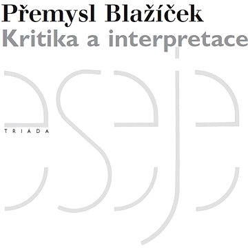 Kritika a interpretace