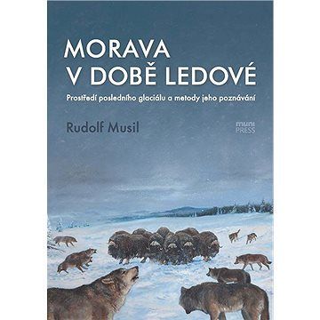 Morava v době ledové