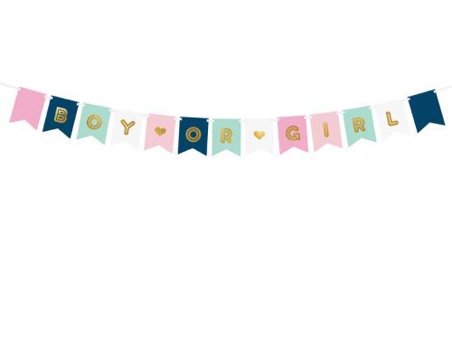 PartyDeco Banner - Boy or Girl Dievča alebo Chlapec 15 x 175 cm