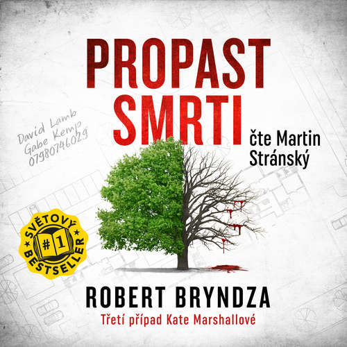 Propast smrti - Robert Bryndza (mp3 audiokniha)